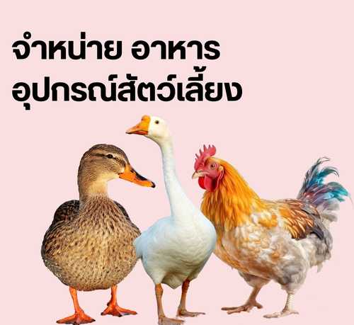 อาหารสุนัข